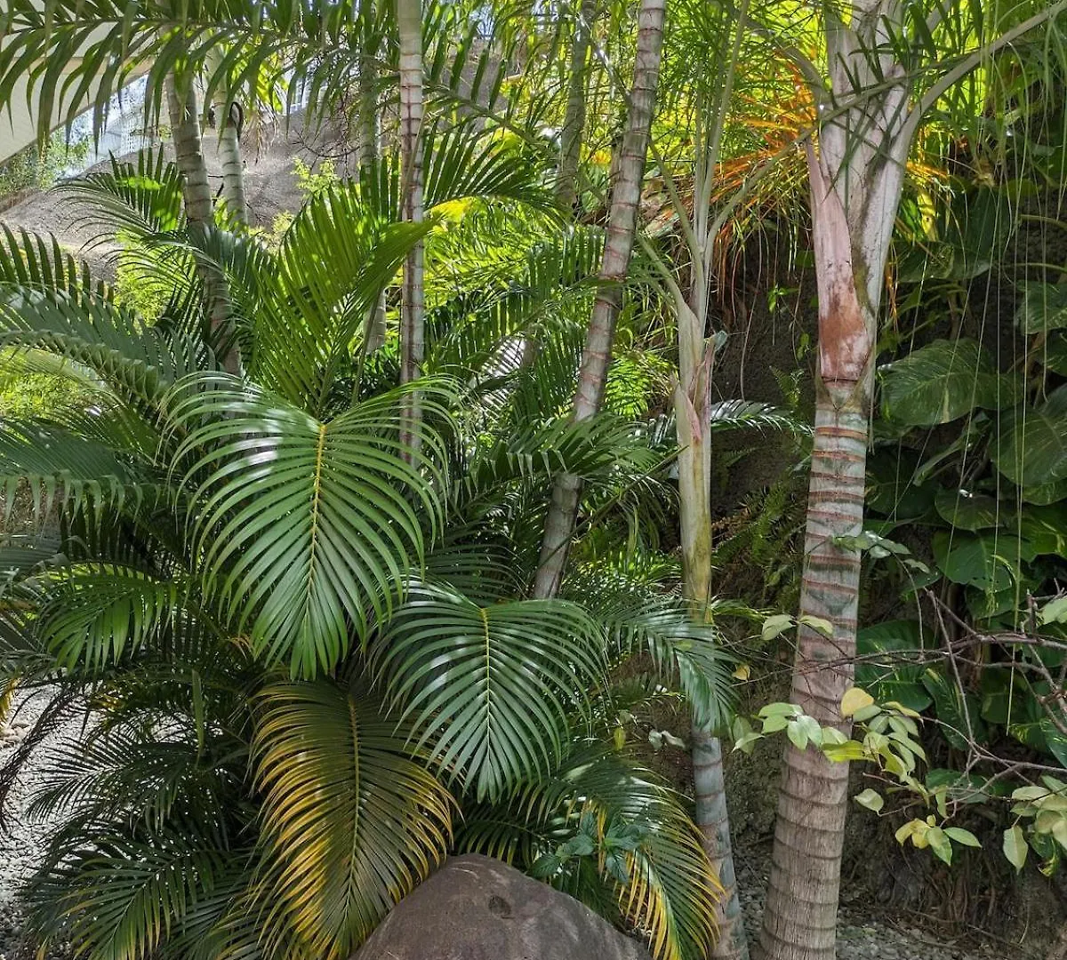 Manahau Lodge Pirae 아파트